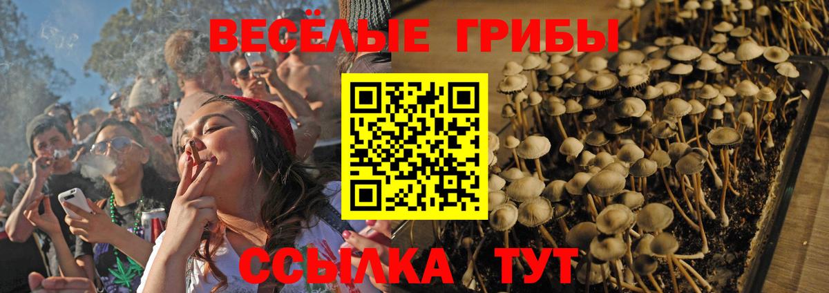 Топки  Галлюциногенные грибы мухоморы  Вход с VPN  Псилоцибиновые грибы MAGIC MUSHROOMS 